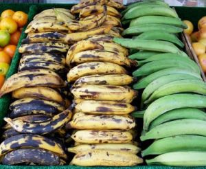 bananes-plantains